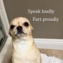 카페바라기 | 새해 바라기