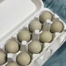 부광횟집 | 가보자. 밀린 일기 써보자. 1월 일기.