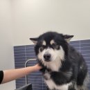 올리스 24(마산) 이미지