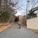 중산리 주차장 | 가장 효율적인 지리산 중산리 코스로 서울에서 당일치기 (25.12.06)