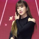 박초롱 카카오 검색결과