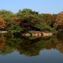 카네기무도장 이미지