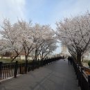 대구선동촌공원3 이미지