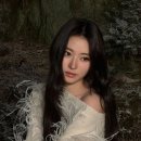 안나미용실 네이버블로그