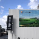 크로스핏 드랍인 후기 - 부산 레인드랍, 로그강 선수이자 코치 만남!!!