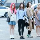 레드벨벳 카카오 검색결과