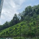 수리산성원쌍떼빌1차 이미지