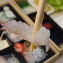 제주도 회 포장 맛집 활어왕 내돈내산 찐추천 후기: 제주도 서쪽 한림/애월 횟집