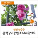 연수구 장미공원 앞 이미지