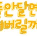 웍웍 Daum카페