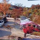 천안OK캠핑 이미지