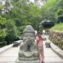 [전남 여수] 봉황산 자연휴양림 휴양관 206호, 하모유비끼 먹고 행복했던 6월 여행