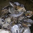 천마농장 이미지