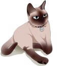 제이드가든 오토캠핑장 이미지