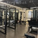라이프타임피티