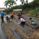 덕진동 주민센터 이미지