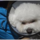 어뮤즈 호텔 이미지