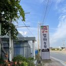 봉선농장 | 가을 천안나들이 실패, 그리고 엄마포도농장