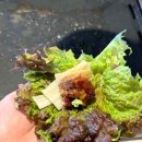 최고맛집고기랑식사랑