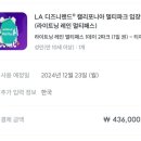 &lt;여자 혼자 미국여행 5일차&gt; la 디즈니랜드 + 캘리포니아 어드벤처 파크 호퍼 후기 및 놀이기구 정리