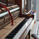 영창상회 이미지