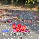여수시청직장어린이집 네이버블로그