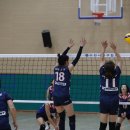 스마일팡팡 이미지