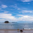 연포해수욕장(송림) 이미지