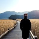 순천만습지 이미지