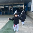무궁화태권도체육관 이미지