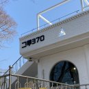 멍그루 | 남해아난티맛집 그루370 오션뷰 브런치 카페 데이트 코스