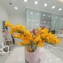 마리앙뜨와네일