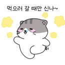 구공키친