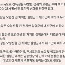 간·심·비 기능저하로 습담 정체된 병증 대황목단피탕·도핵승기탕 등 어혈푸는데 초점 이미지