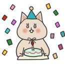 강남고양이분양 스타돌스 이미지