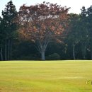 골프존카운티 오라 (회원제) 이미지