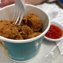 솔리드 인 해운대 | 햄보칸 일주일 in 코타키