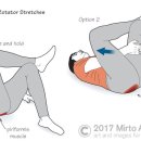 우리들척추운동센터 이미지