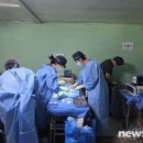 주식회사 동남의료약품 | “전국·해외 수의사·수의대생 100여명 한뜻”… 국경없는수의사회, 유기견보호소 대규모 의료봉사