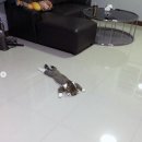 청담봄여성의원 이미지