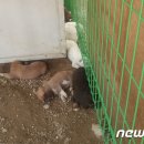 내천농장 이미지