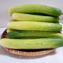 참바른유통