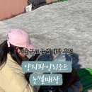 양지파인리조트 눈썰매장 네이버블로그