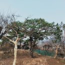 금선농장 이미지