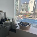 호산 | 병점 블루베어동물병원 리뷰 고양이 호산유구종 치료후기!