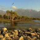 세계의 명소와 풍물 - 예멘, 소코트라섬(Socotra Island) 이미지