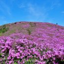 제 385차 일림산 산행안내 이미지