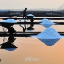 다래골농장 | 소금 대란