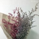 목화인테리어 - 서구 보수대로 227 | 목화인테리어