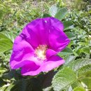 대동아파트경로당 이미지